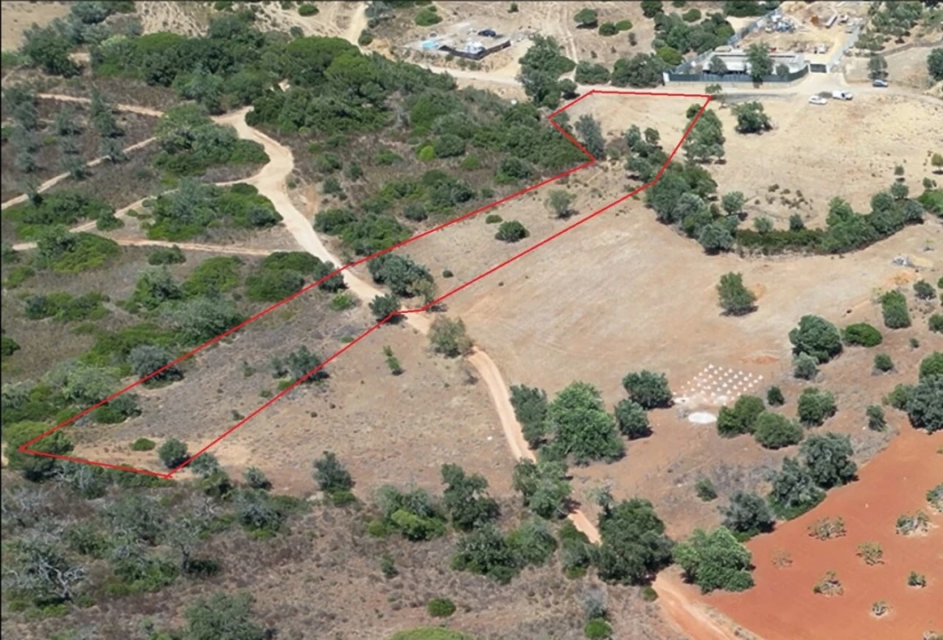 Terreno para Venda em Alcantarilha e Pêra Foto 2