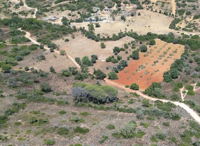 Terreno para Venda em Alcantarilha e Pêra Foto 3