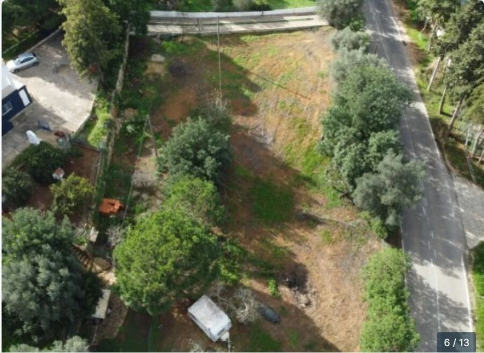 Terreno para Venda em Alcantarilha e Pêra Foto 8