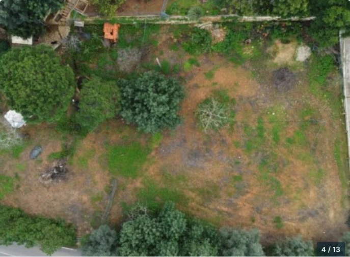 Terreno para Venda em Alcantarilha e Pêra Foto 6