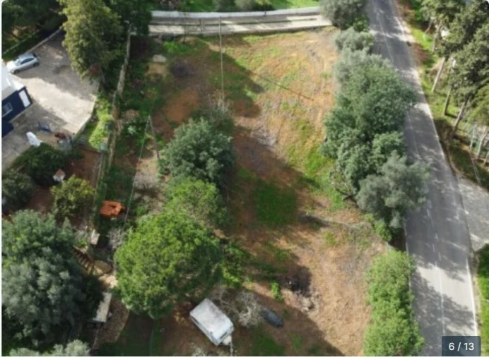 Terreno para Venda em Alcantarilha e Pêra Foto 8