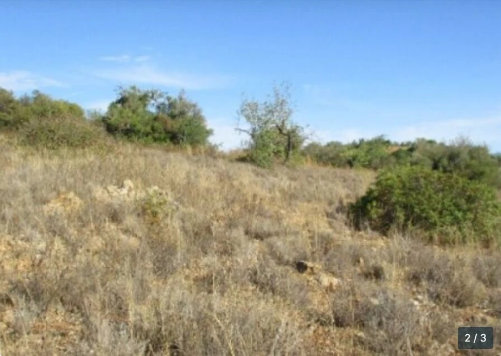 Terreno para Venda em Boliqueime Foto 2