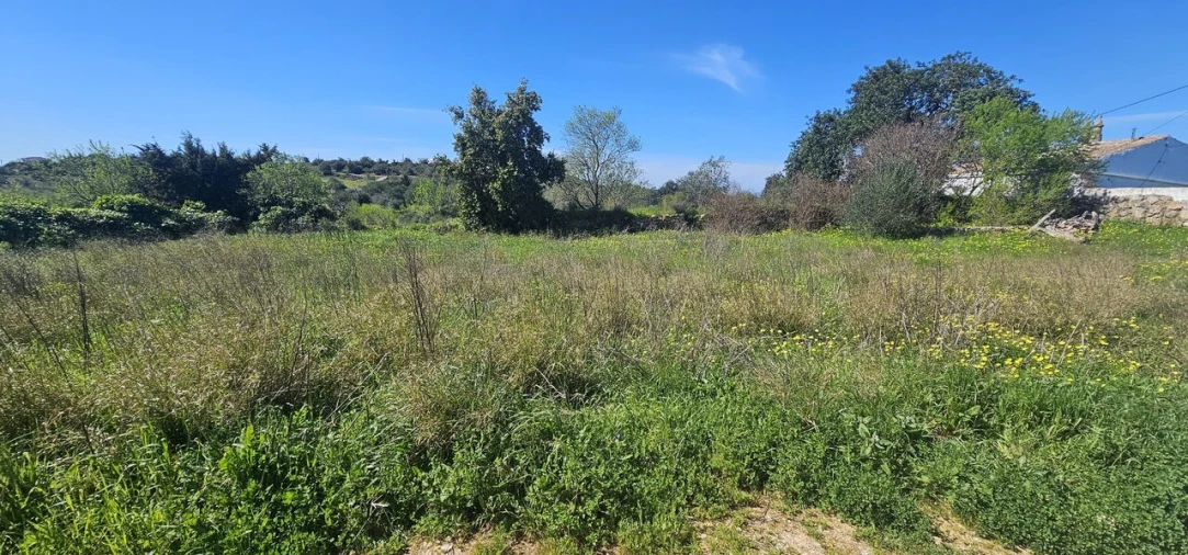 Terreno para Venda em Paderne Foto 1