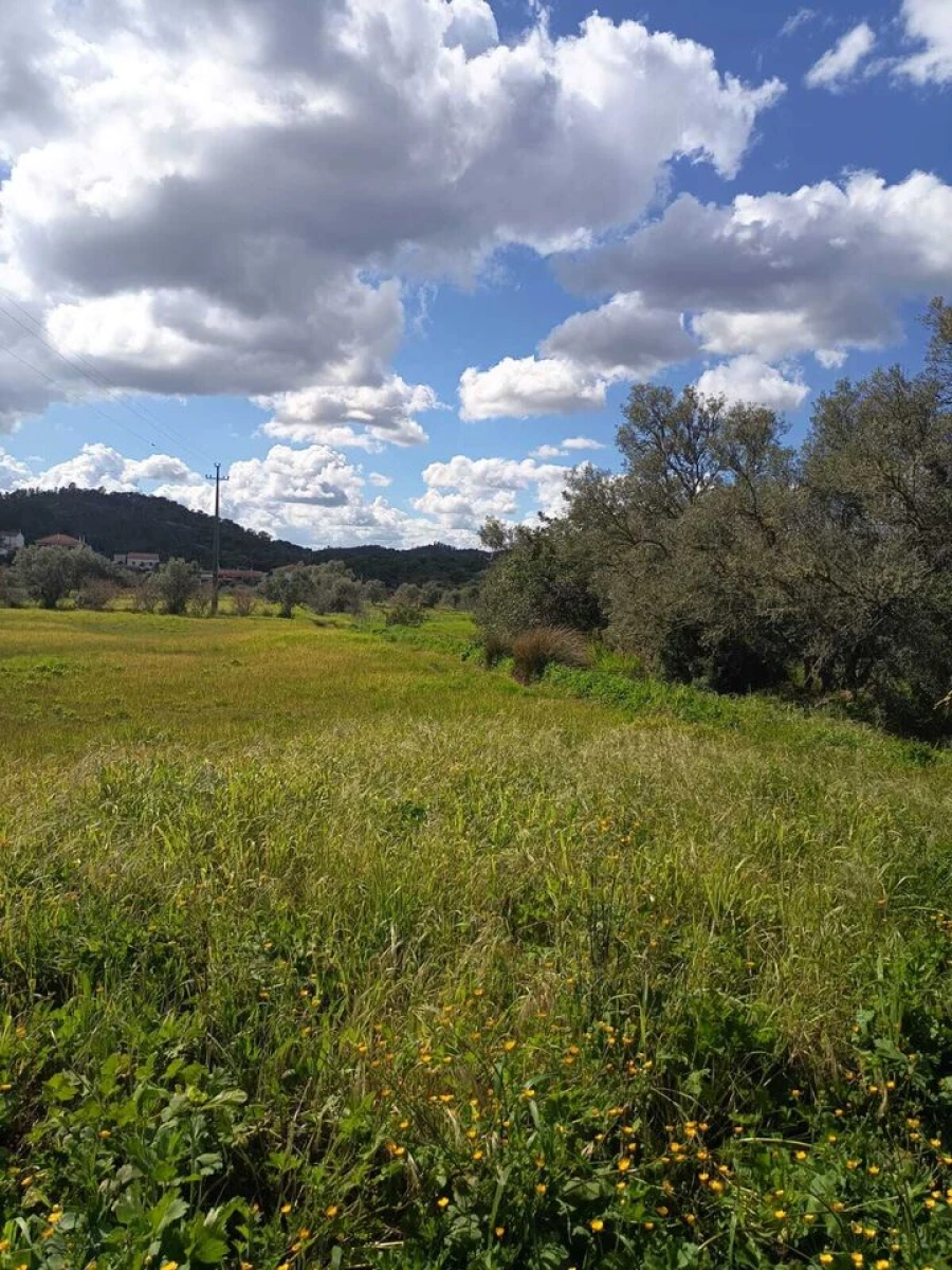 Terreno para Venda em Alte Foto 3