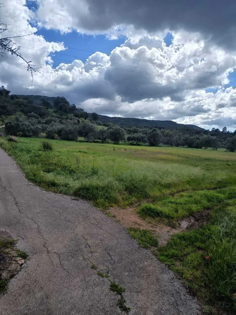 Terreno para Venda em Alte Foto 6