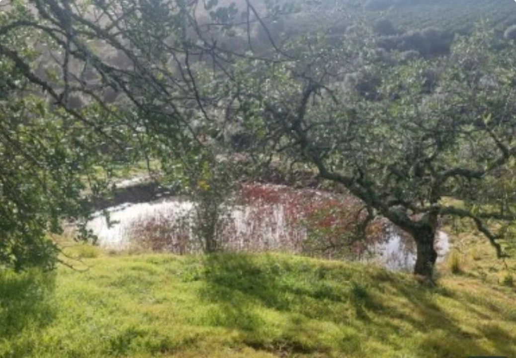 Terreno para Venda em Alte Foto 1