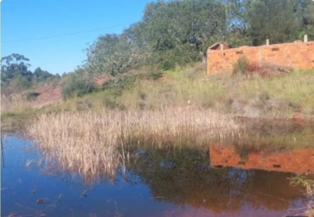 Terreno para Venda em Alte Foto 3