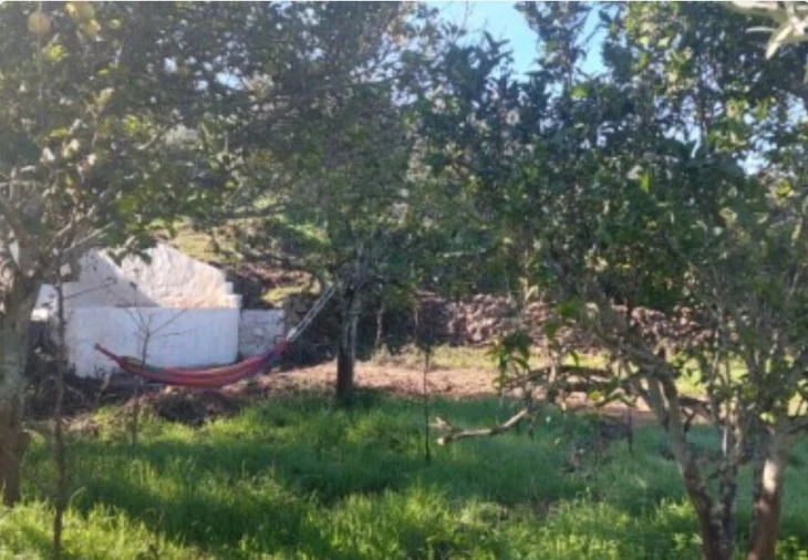 Terreno para Venda em Alte Foto 4