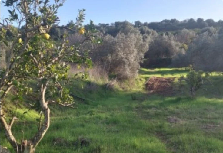 Terreno para Venda em Alte Foto 8