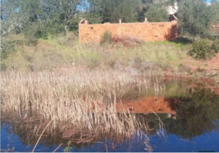 Terreno para Venda em Alte Foto 2