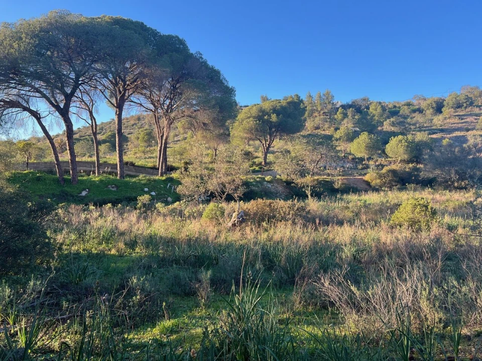 Terreno para Venda em Paderne Foto 1