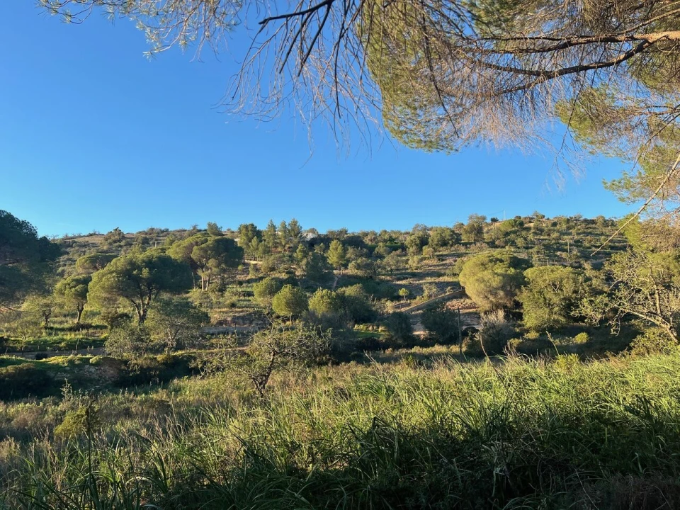 Terreno para Venda em Paderne Foto 2