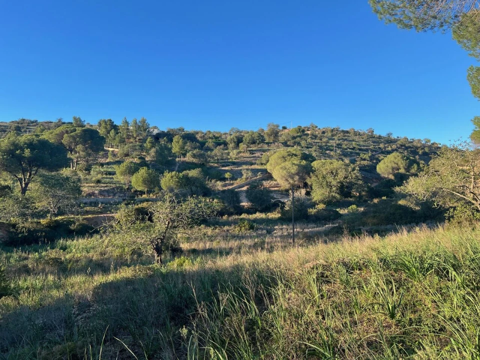 Terreno para Venda em Paderne Foto 6
