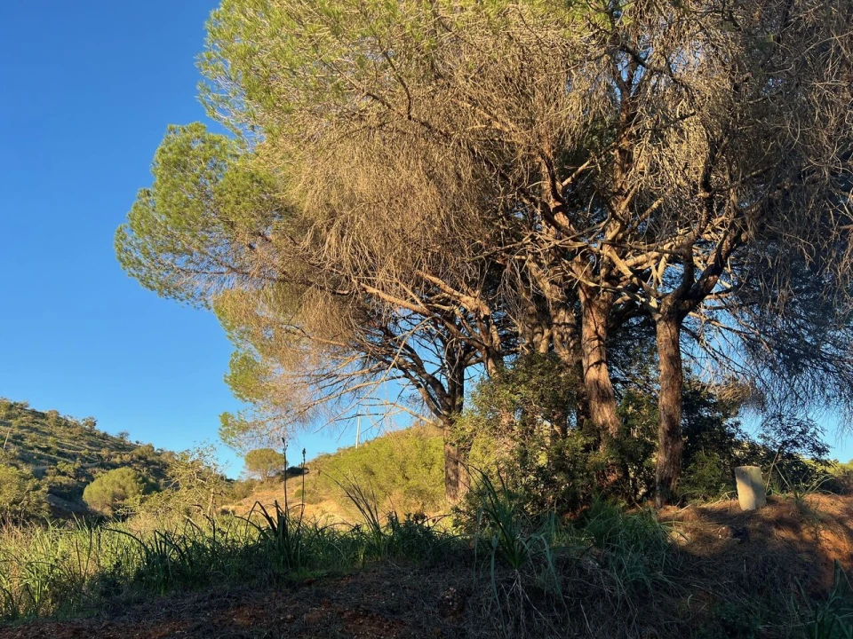 Terreno para Venda em Paderne Foto 9
