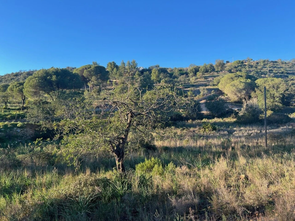 Terreno para Venda em Paderne Foto 10