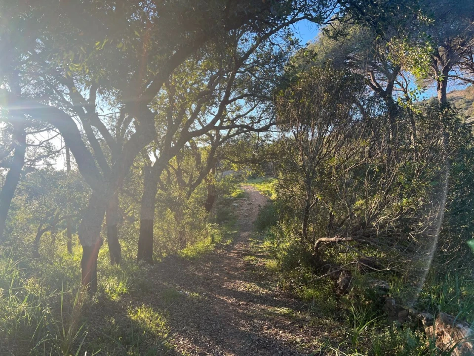 Terreno para Venda em Paderne Foto 13