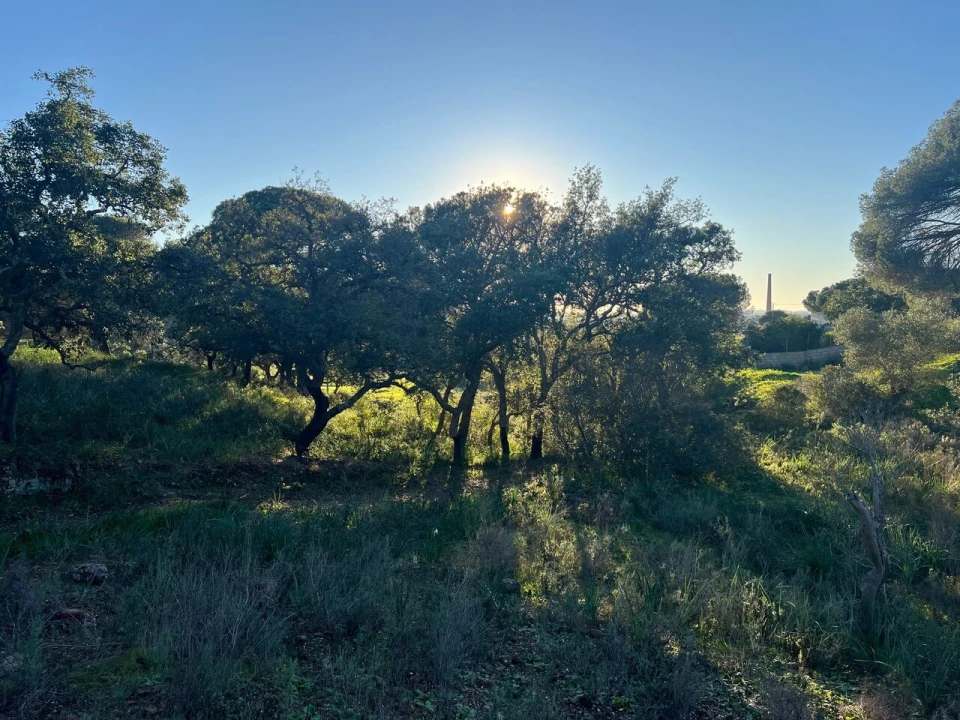 Terreno para Venda em Paderne Foto 14
