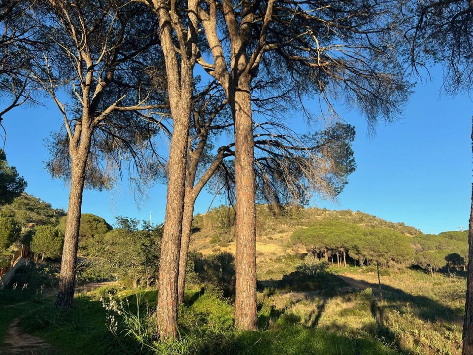 Terreno para Venda em Paderne Foto 17