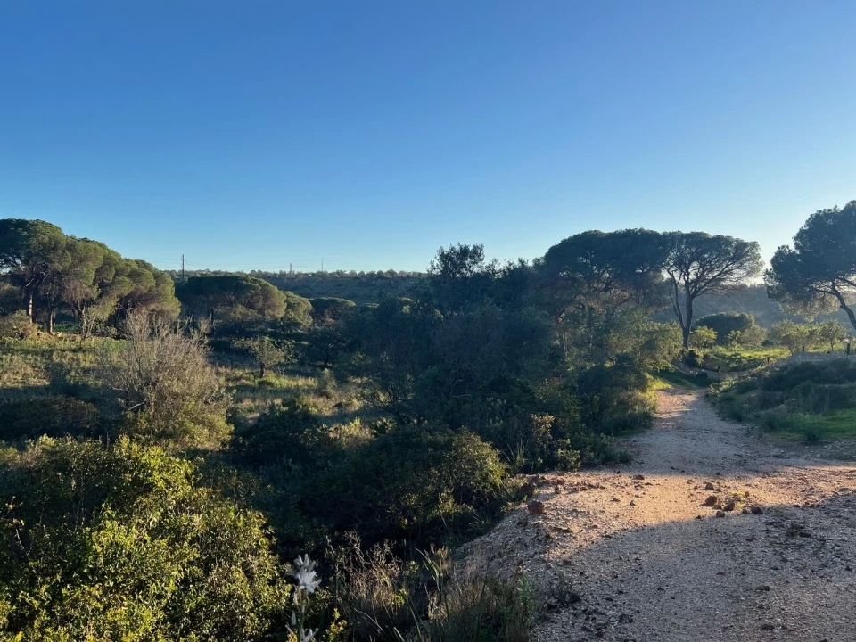 Terreno para Venda em Paderne Foto 21