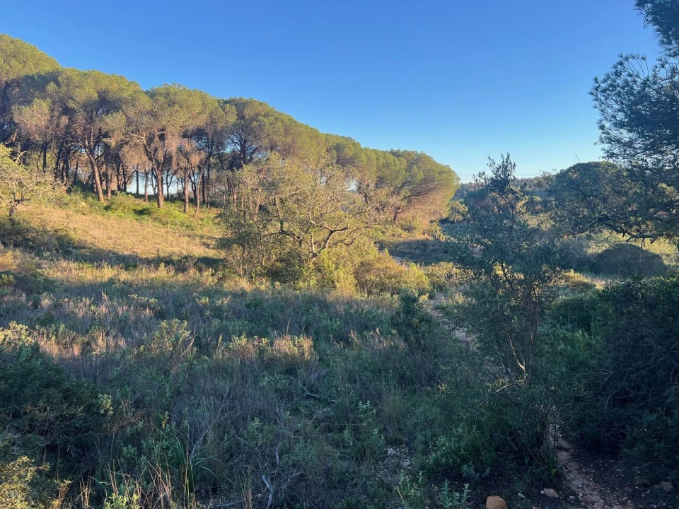 Terreno para Venda em Paderne Foto 22