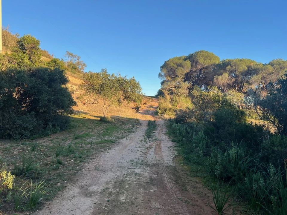 Terreno para Venda em Paderne Foto 23