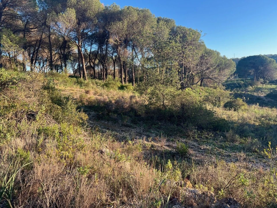 Terreno para Venda em Paderne Foto 27