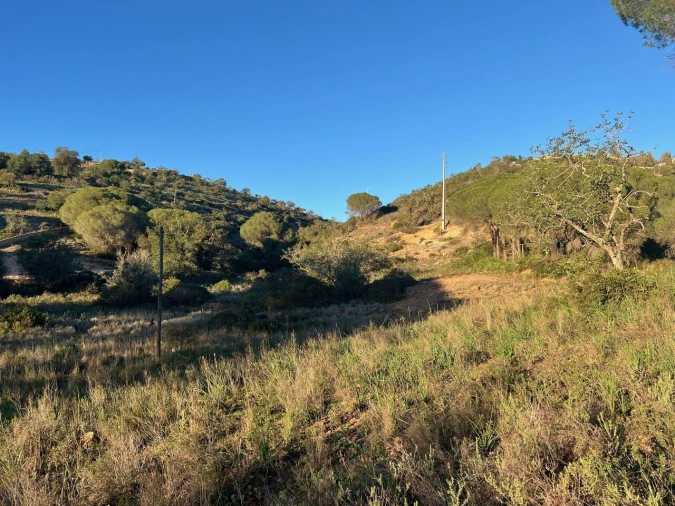 Terreno para Venda em Paderne Foto 4