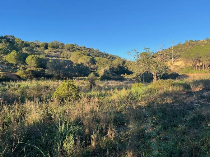 Terreno para Venda em Paderne Foto 5