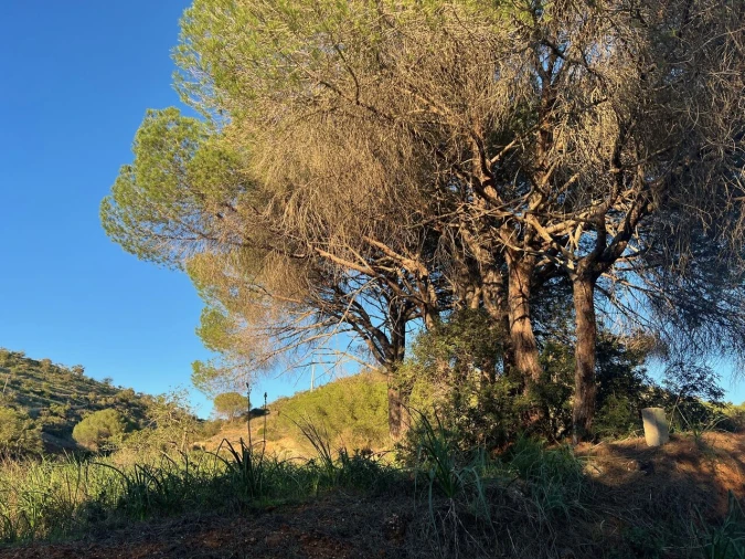 Terreno para Venda em Paderne Foto 9