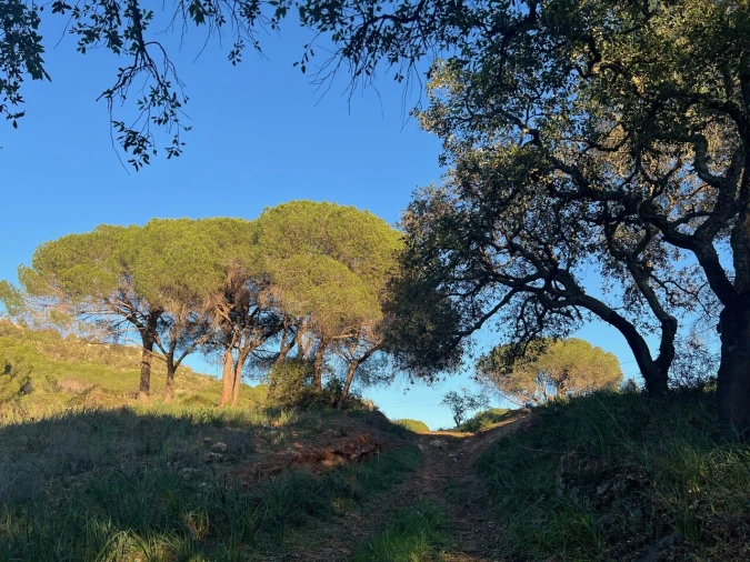 Terreno para Venda em Paderne Foto 12