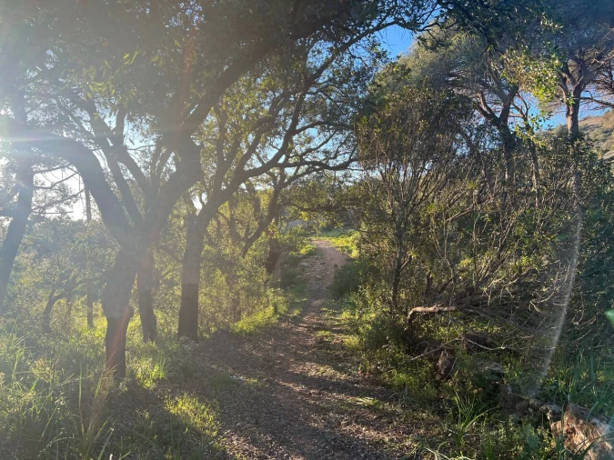 Terreno para Venda em Paderne Foto 13