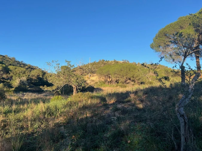 Terreno para Venda em Paderne Foto 15