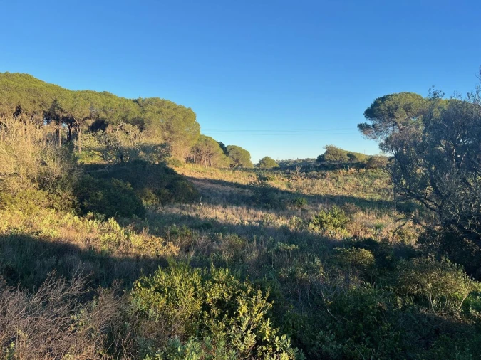 Terreno para Venda em Paderne Foto 19