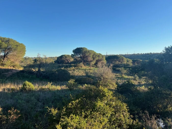 Terreno para Venda em Paderne Foto 20