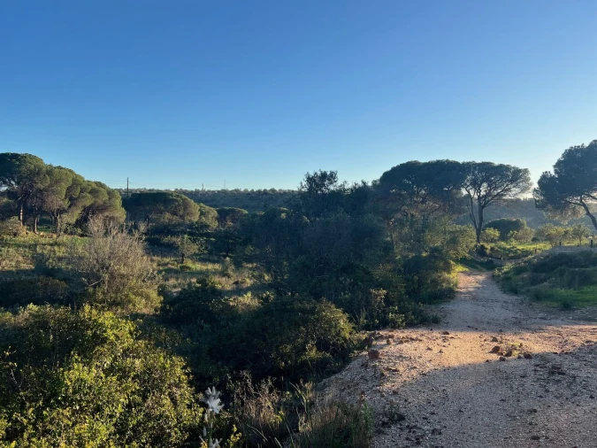 Terreno para Venda em Paderne Foto 21