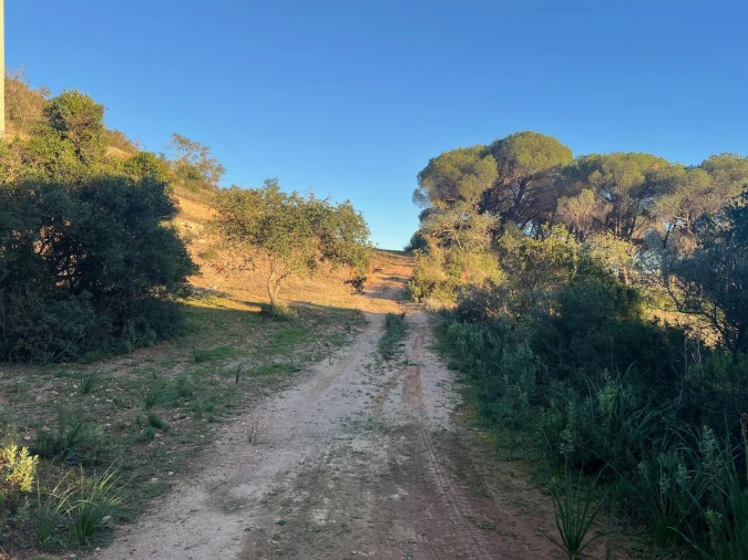 Terreno para Venda em Paderne Foto 23