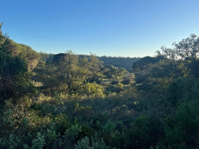 Terreno para Venda em Paderne Foto 24