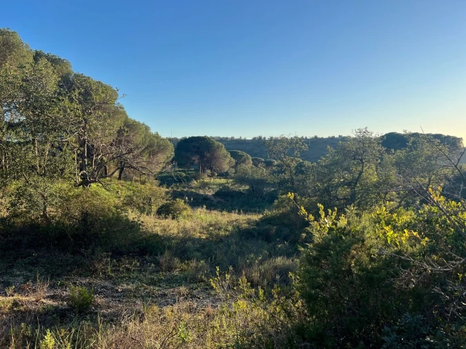 Terreno para Venda em Paderne Foto 26