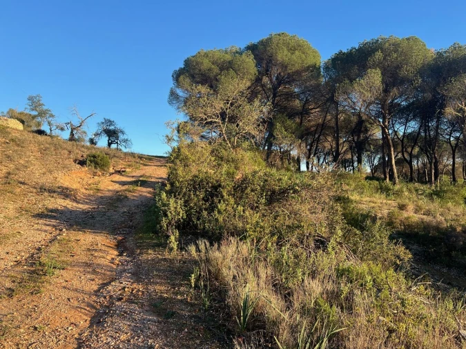 Terreno para Venda em Paderne Foto 28