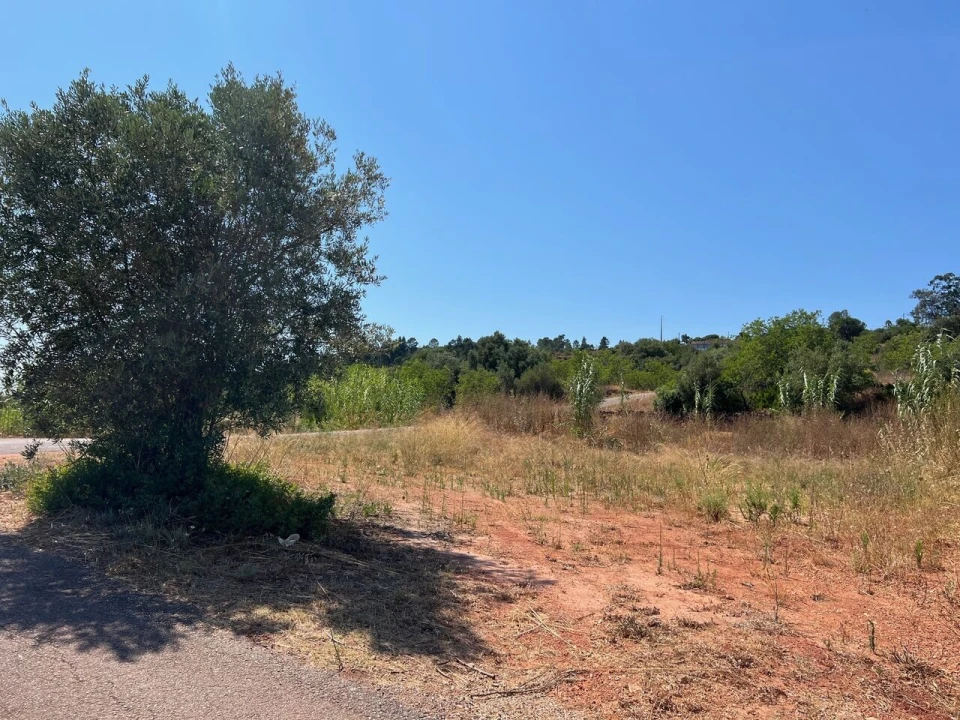Terreno para Venda em São Bartolomeu de Messines Foto 2