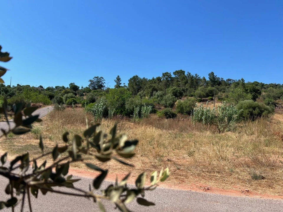 Terreno para Venda em São Bartolomeu de Messines Foto 3