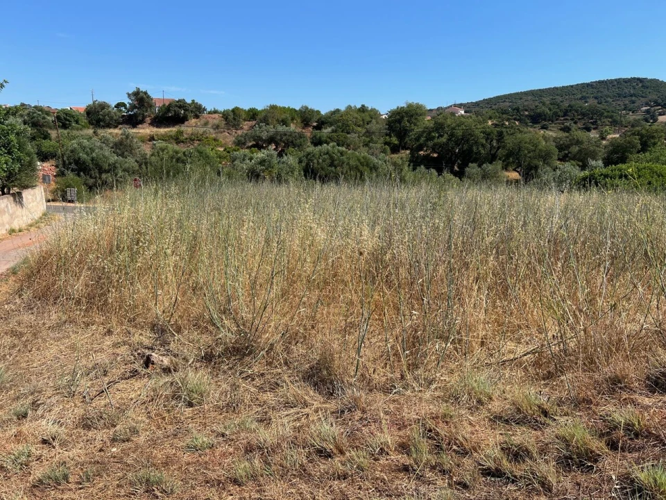 Terreno para Venda em São Bartolomeu de Messines Foto 4