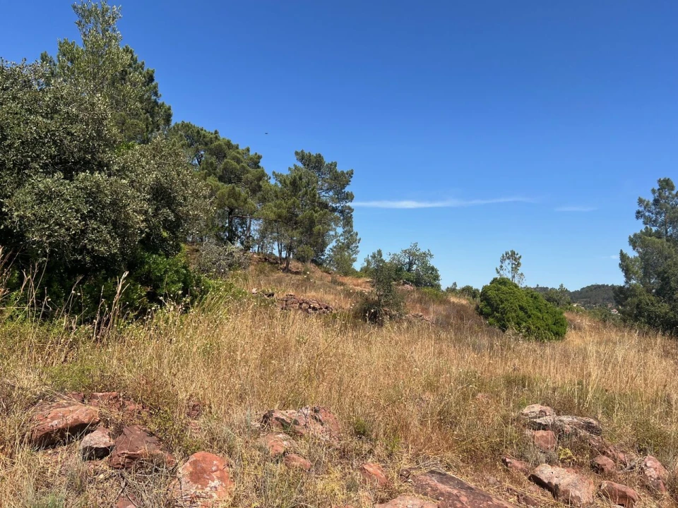 Terreno para Venda em São Bartolomeu de Messines Foto 12