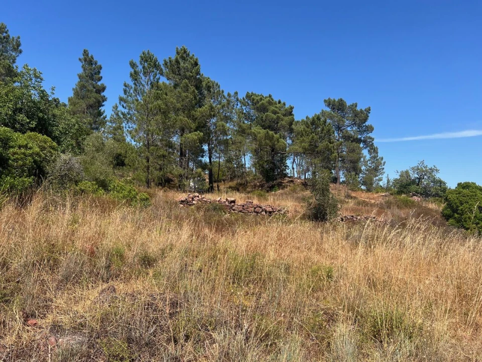Terreno para Venda em São Bartolomeu de Messines Foto 13