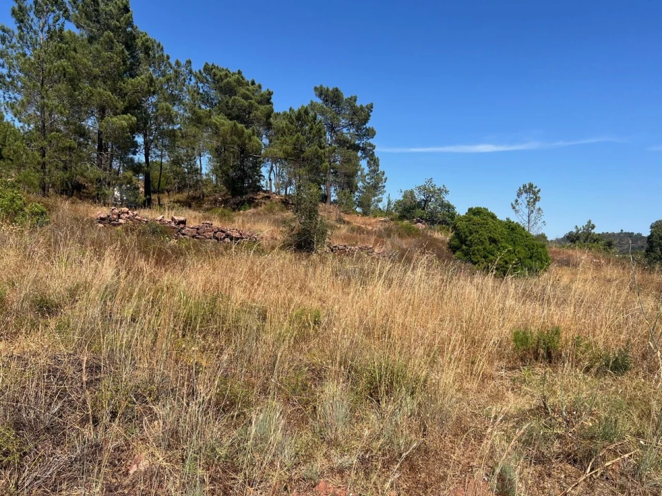 Terreno para Venda em São Bartolomeu de Messines Foto 14