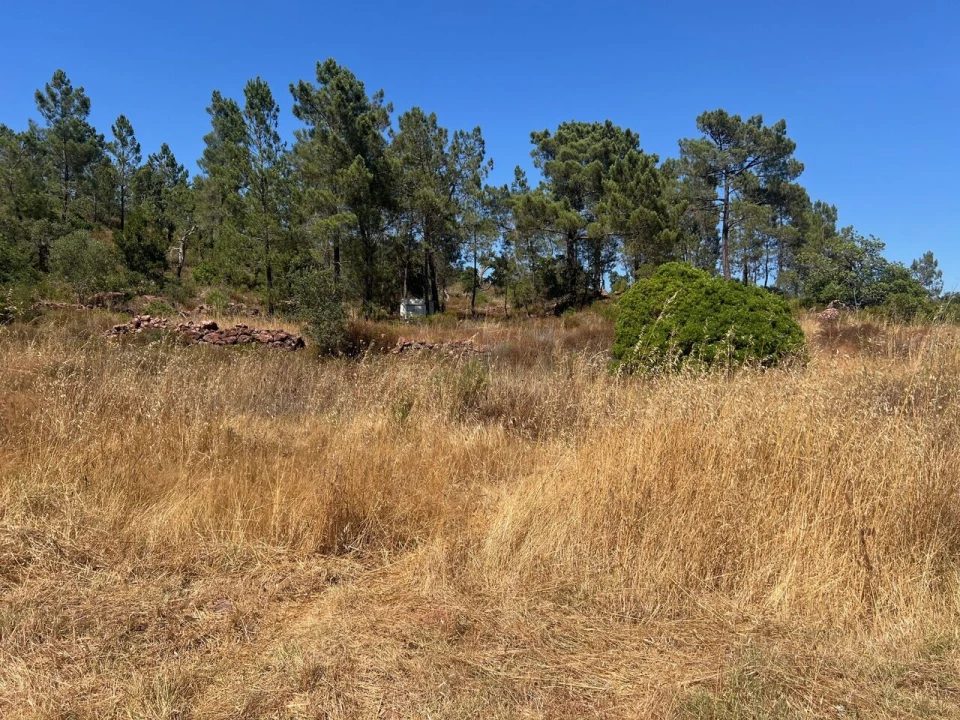 Terreno para Venda em São Bartolomeu de Messines Foto 17
