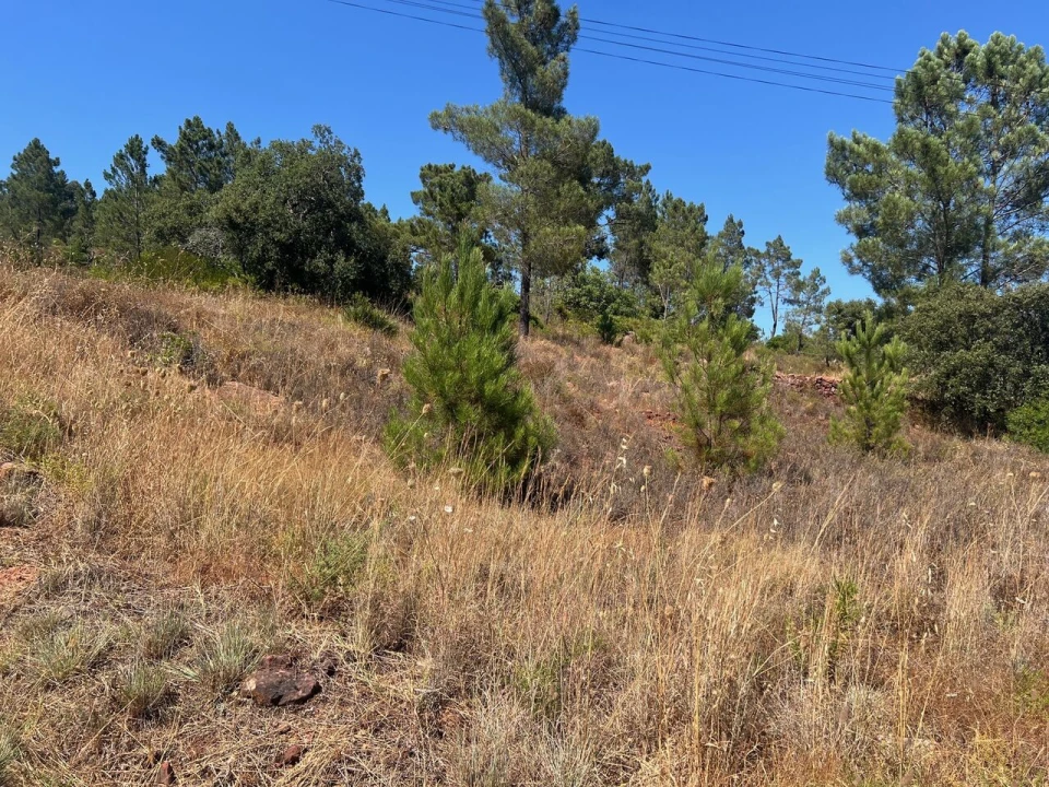 Terreno para Venda em São Bartolomeu de Messines Foto 19