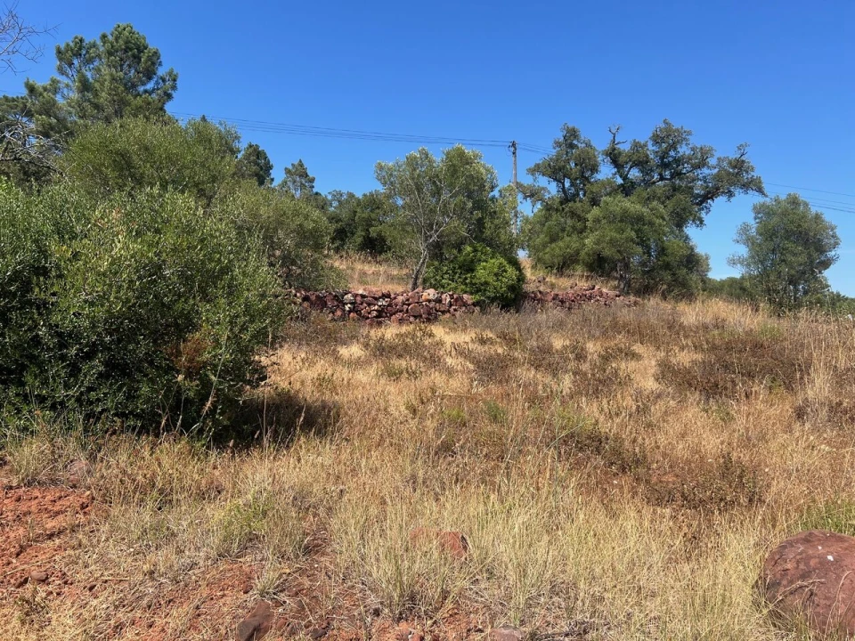 Terreno para Venda em São Bartolomeu de Messines Foto 21