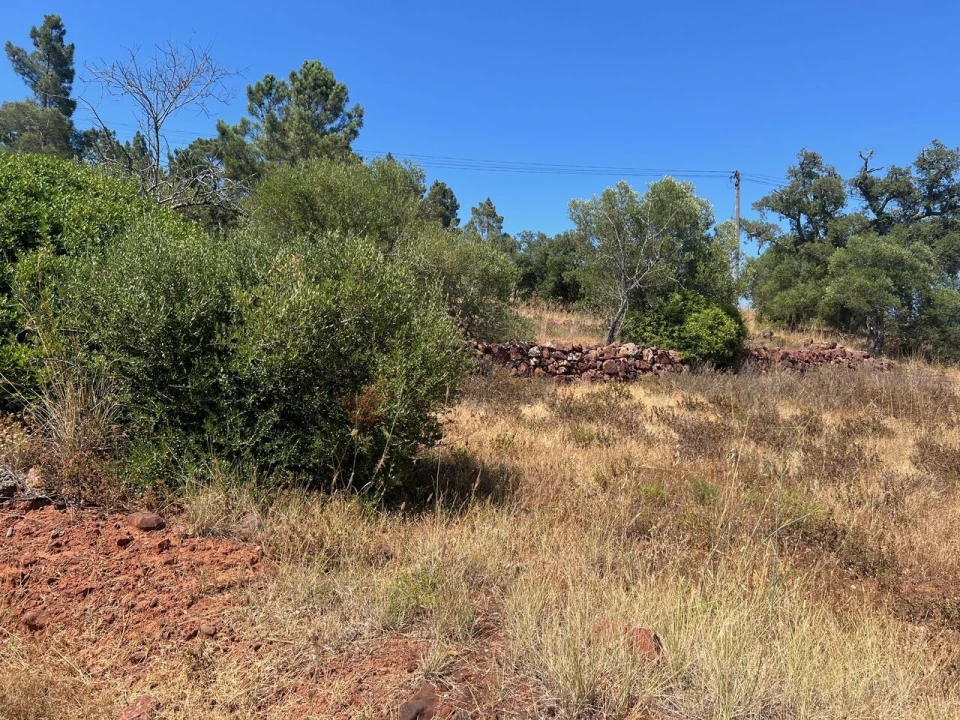 Terreno para Venda em São Bartolomeu de Messines Foto 22