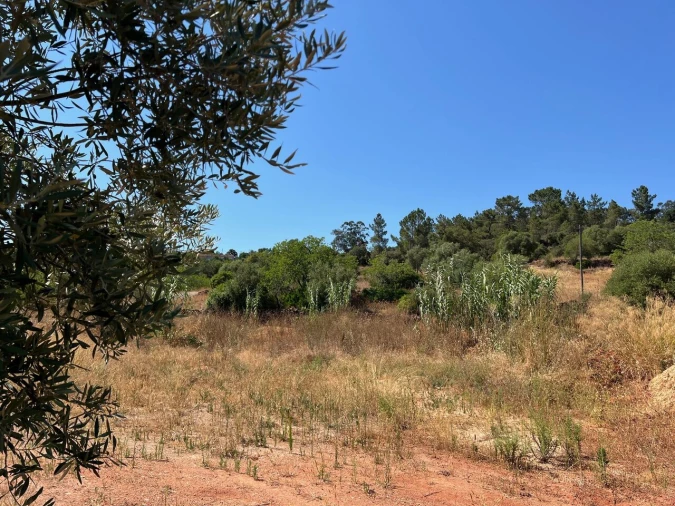 Terreno para Venda em São Bartolomeu de Messines